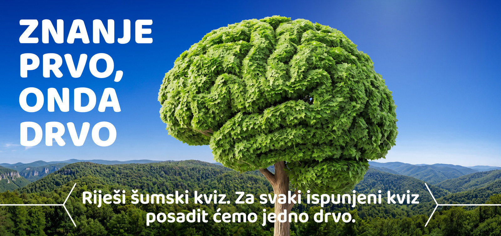 Krošnja u obliku mozga iznad šume
